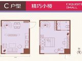 秋实Ⅱ璟峯汇中央园著_1室2厅1卫 建面47平米