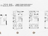 济南宝能城_商墅户型图 建面221平米