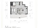 中城悠山湖畔国际颐养社区_1室1厅1卫 建面54平米